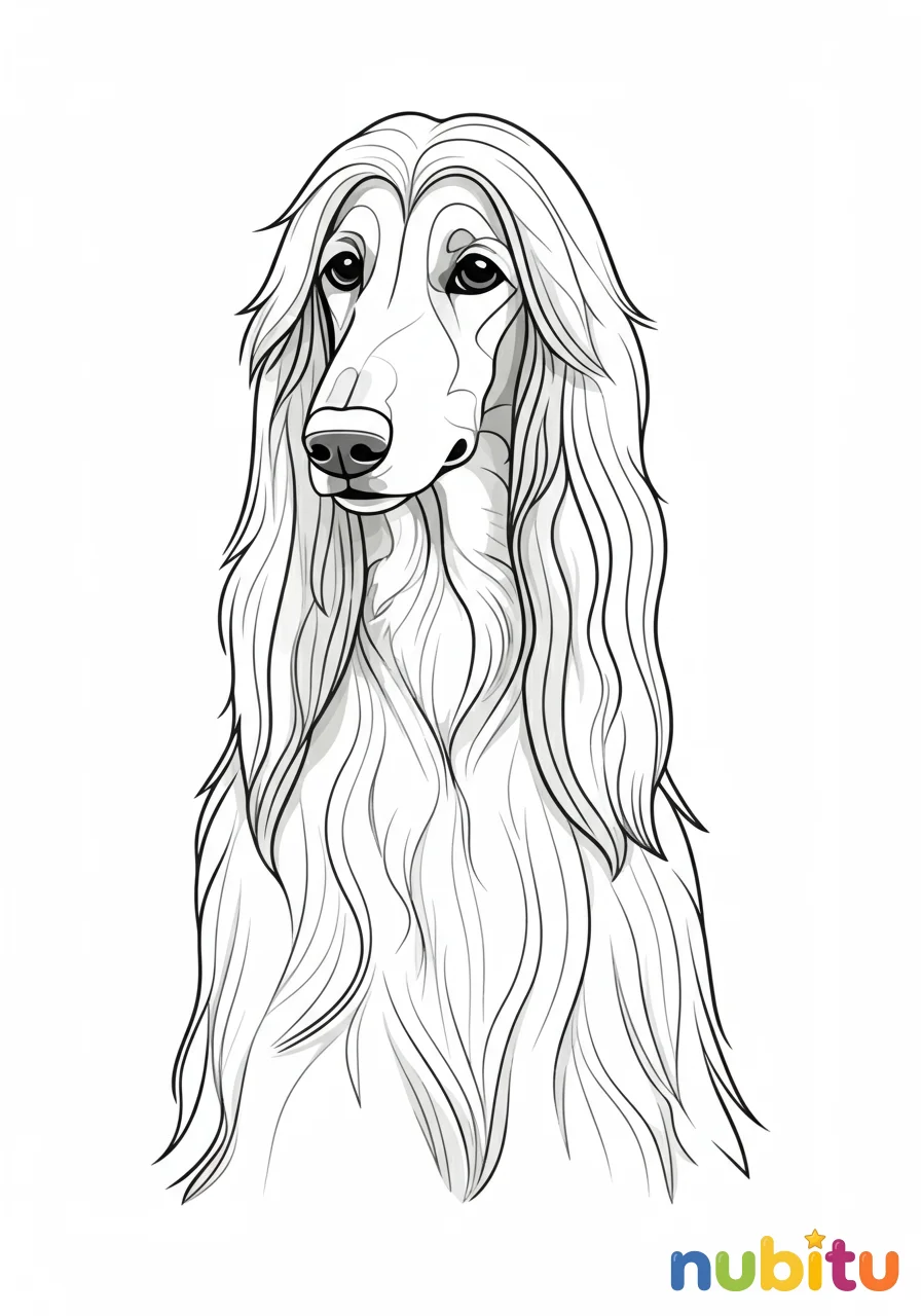 Dibujo