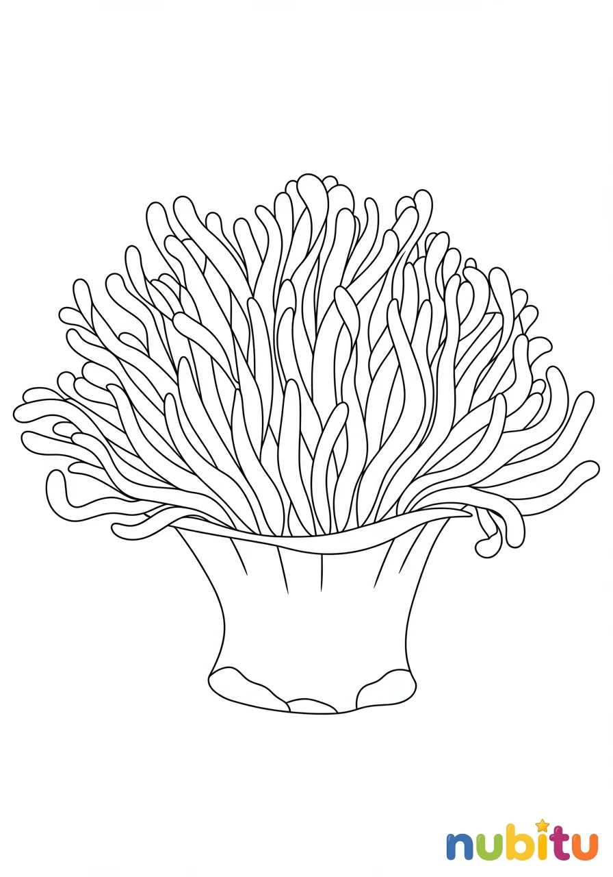 Dibujo