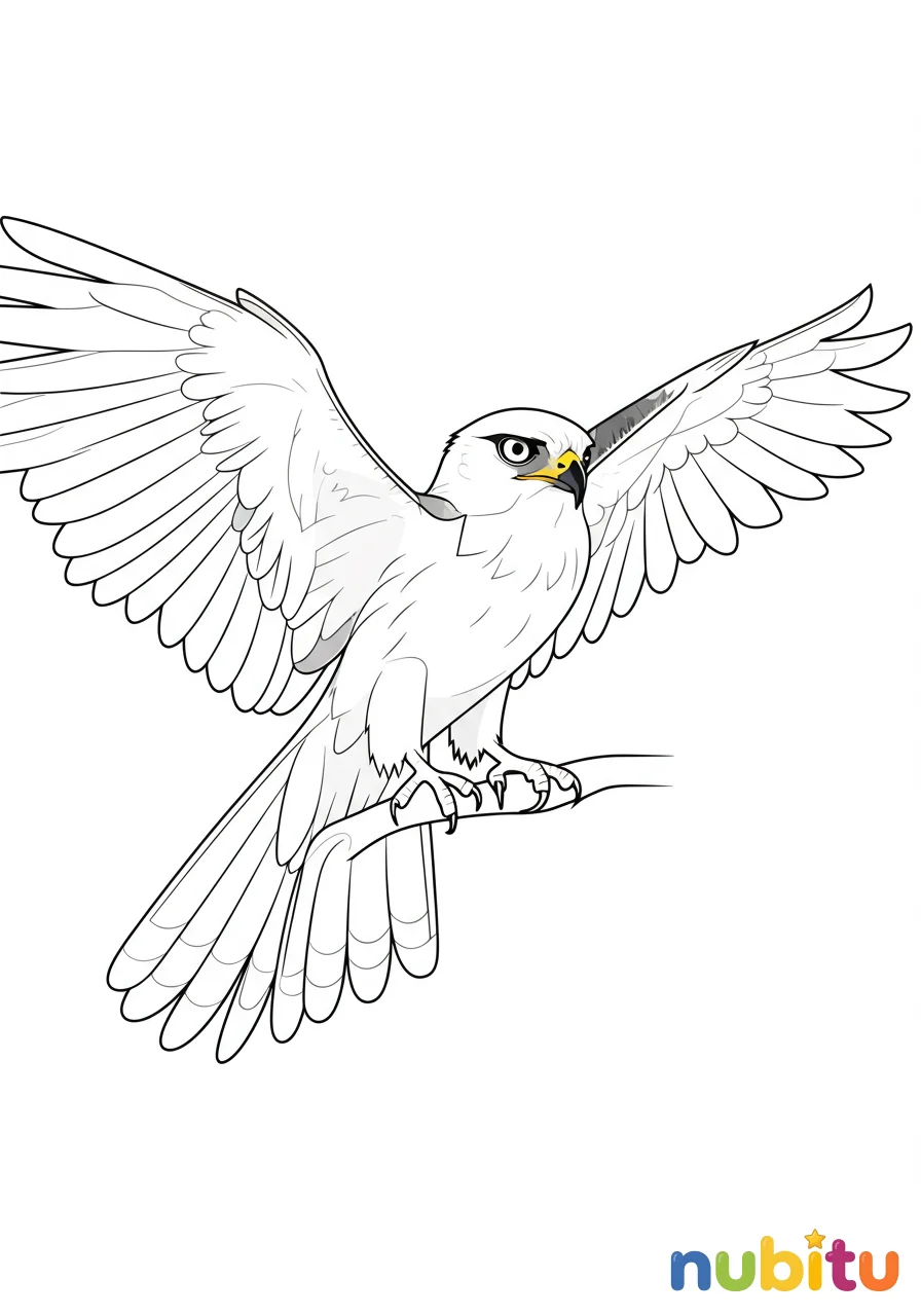 Dibujo