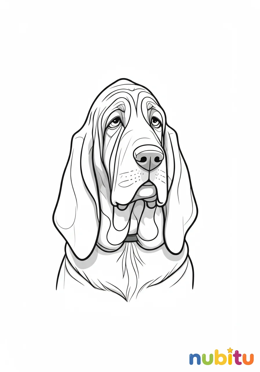 Dibujo