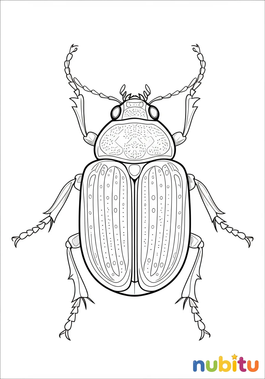 Dibujo