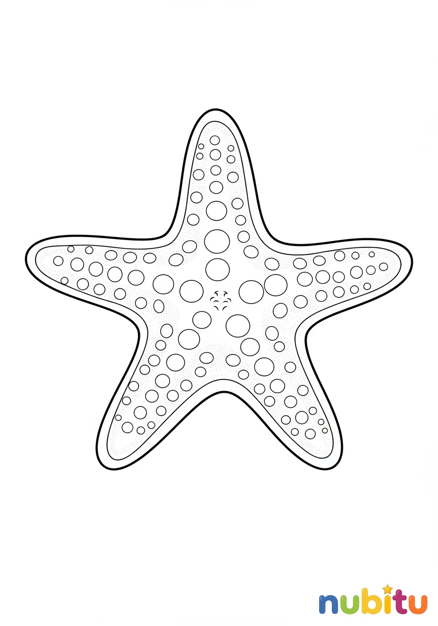 Dibujo