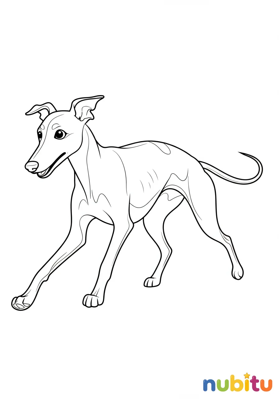 Dibujo