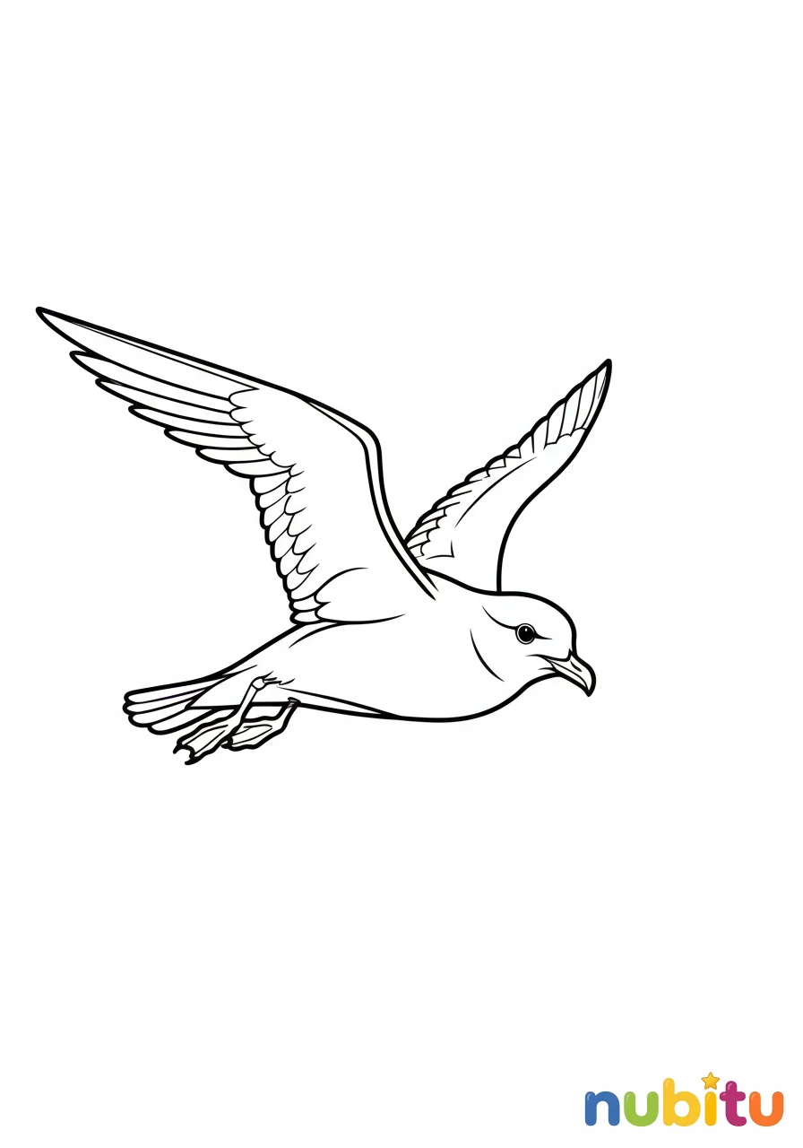 Dibujo