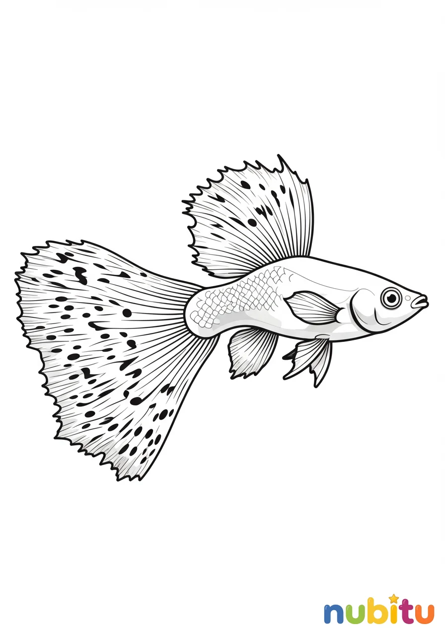 Dibujo
