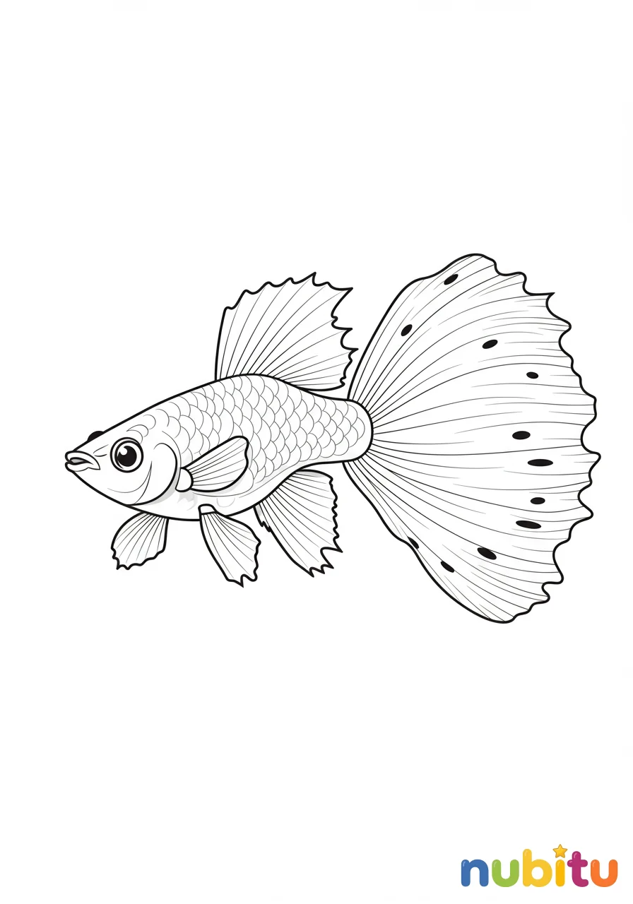 Dibujo