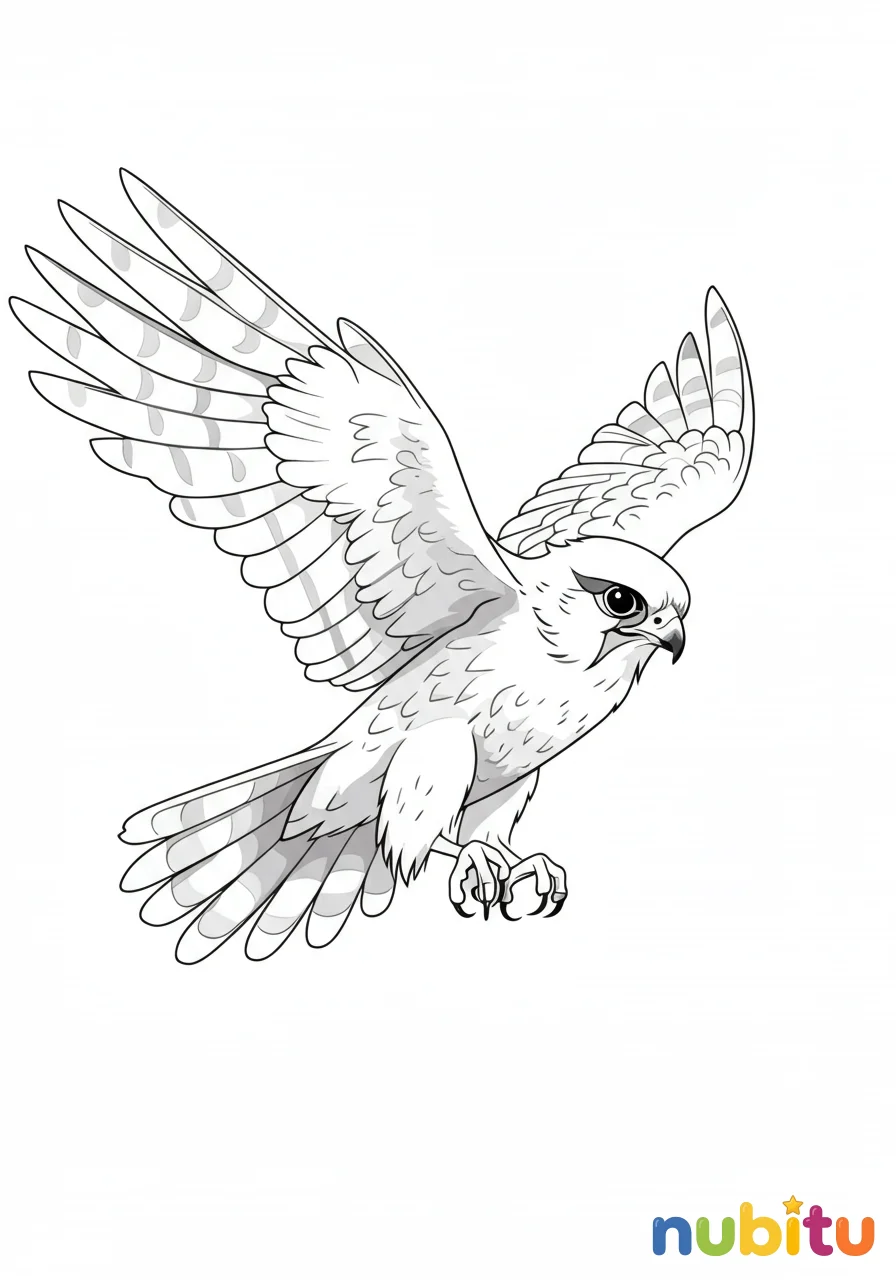 Dibujo