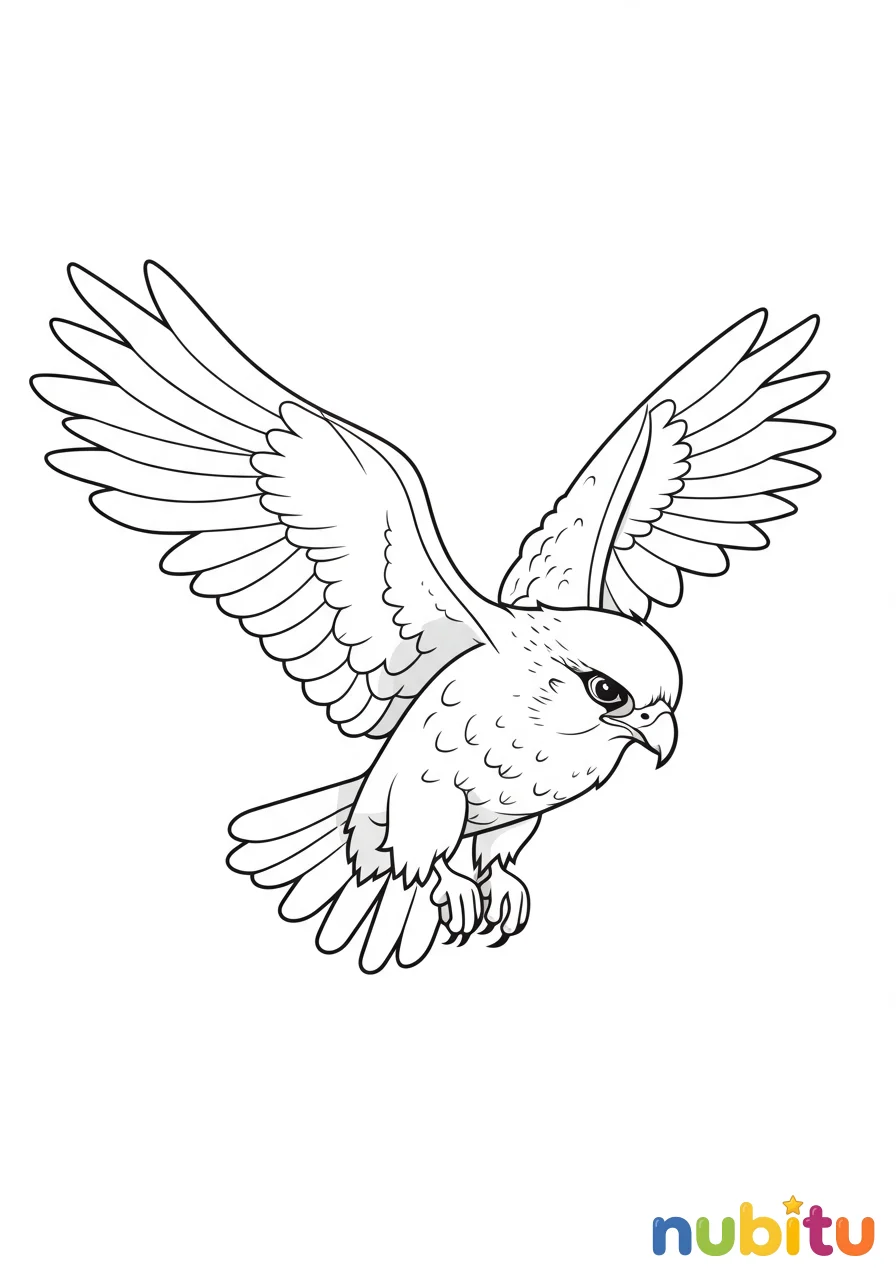 Dibujo