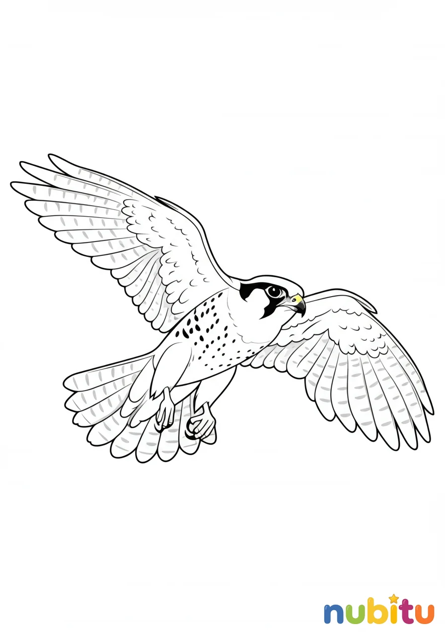Dibujo
