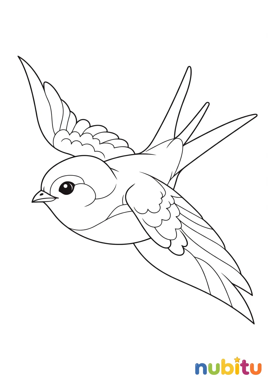 Dibujo
