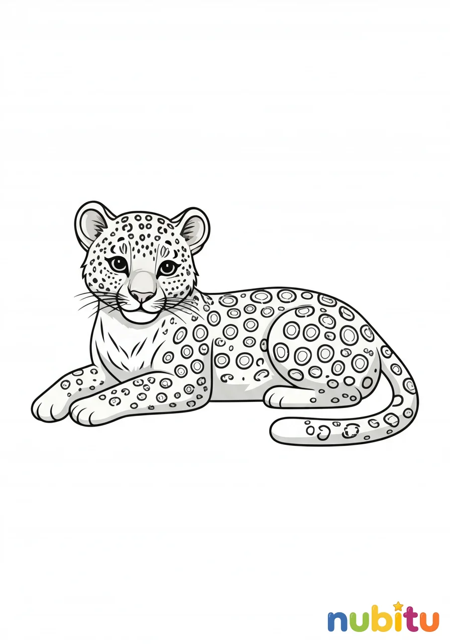 Dibujo