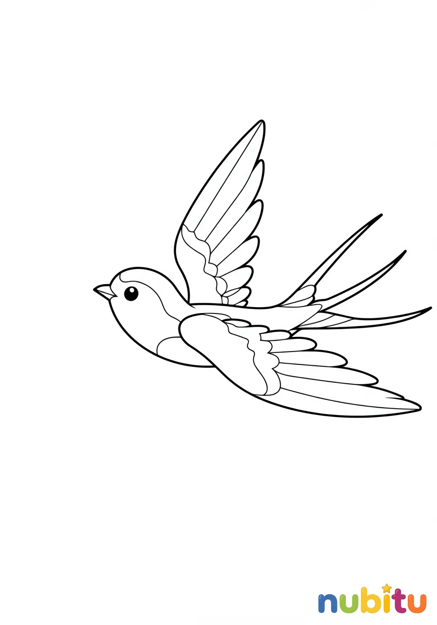 Dibujo