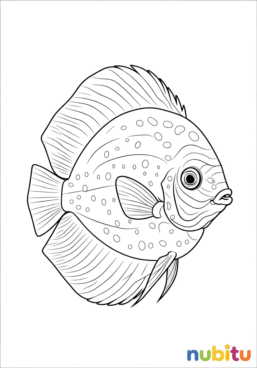 Dibujo