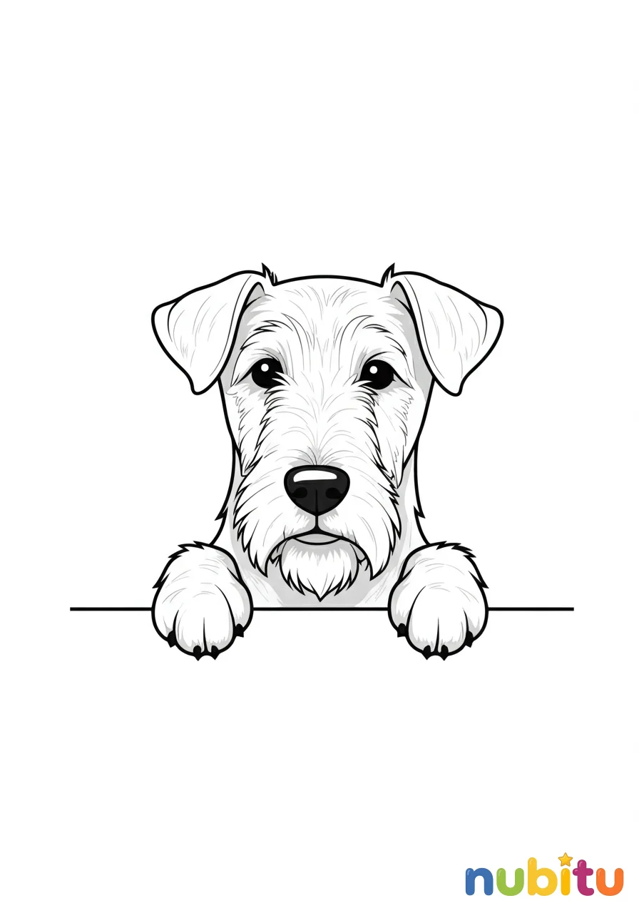 Dibujo