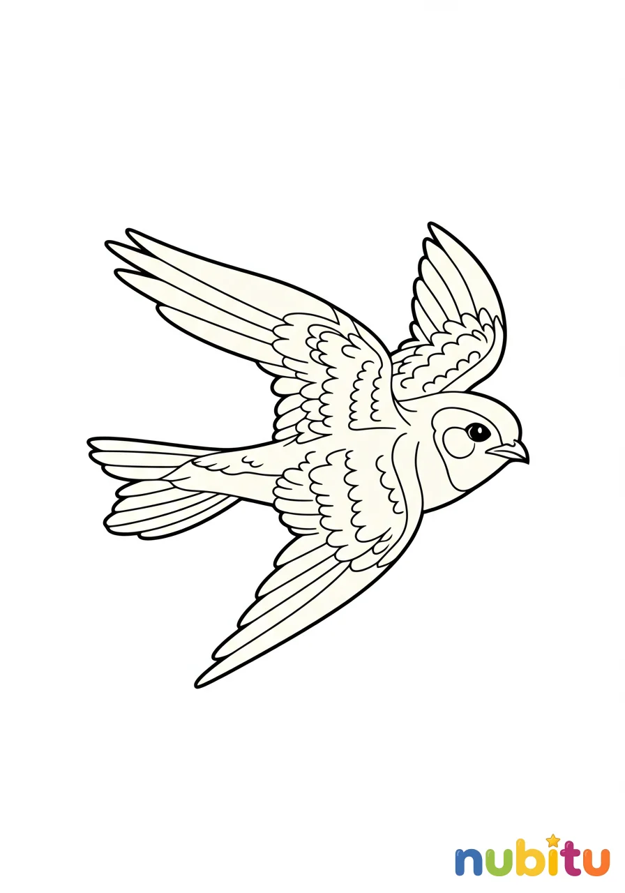 Dibujo
