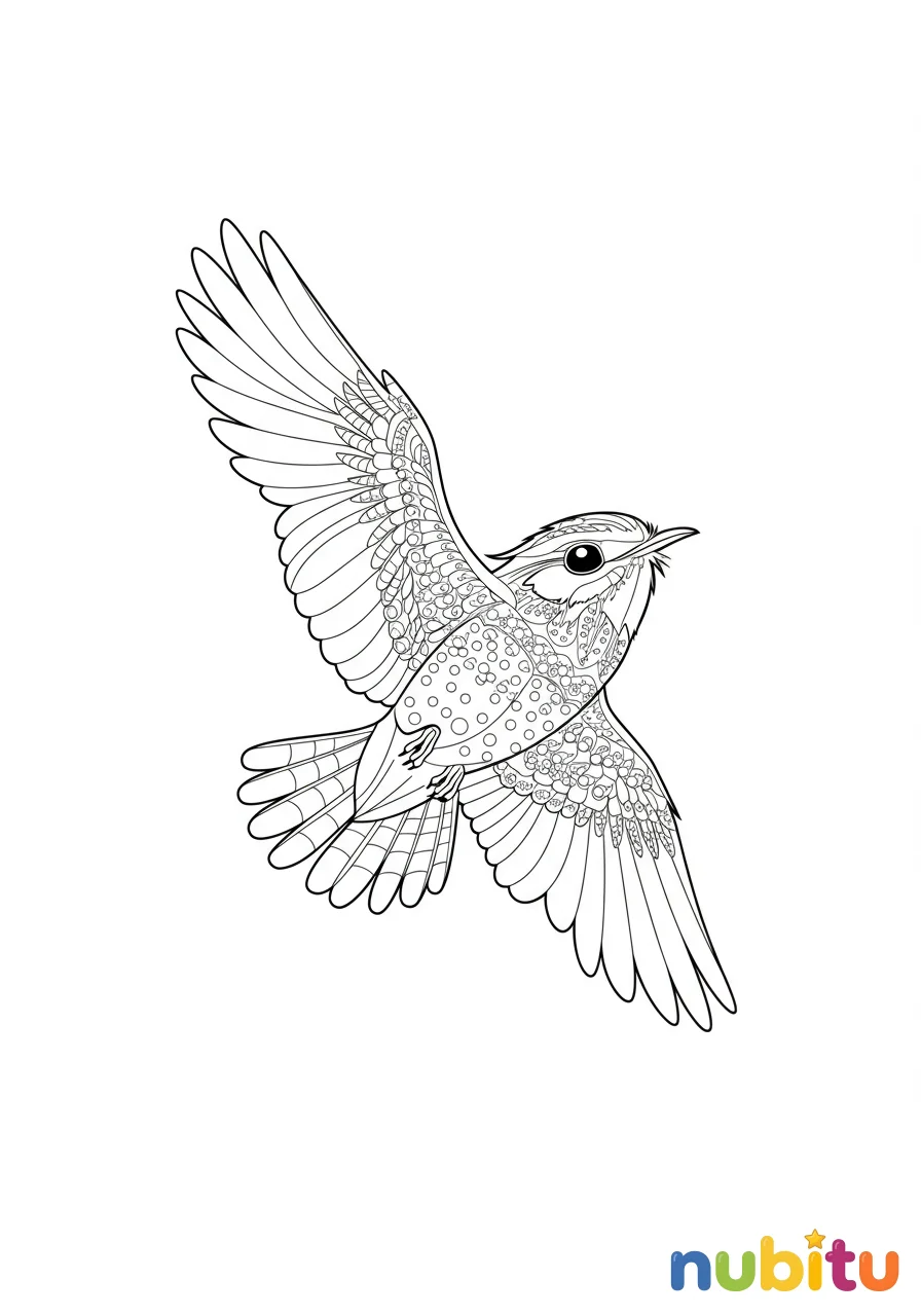 Dibujo